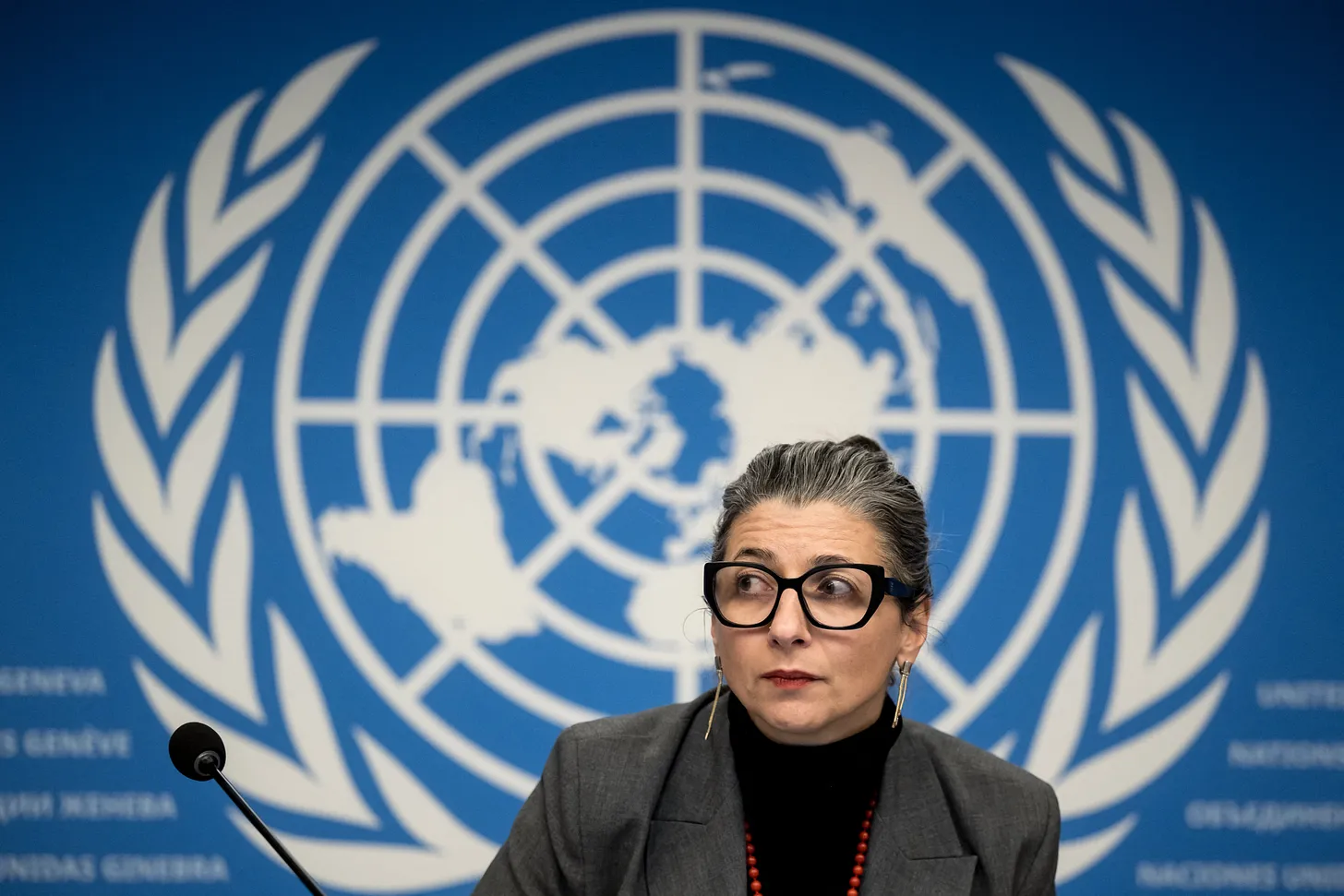 https://plutocracia.com/imagens/Francesca_Albanese_Hedges_julho2025.webp
